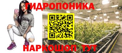 PSILOCYBIN Обнинск