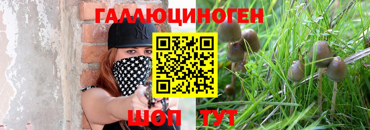 Псилоцибиновые грибы Psilocybe  Галлюциногенные грибы GOLDEN TEACHER  Вход с VPN  Тула 